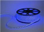 220V led strip 5050 60led/m